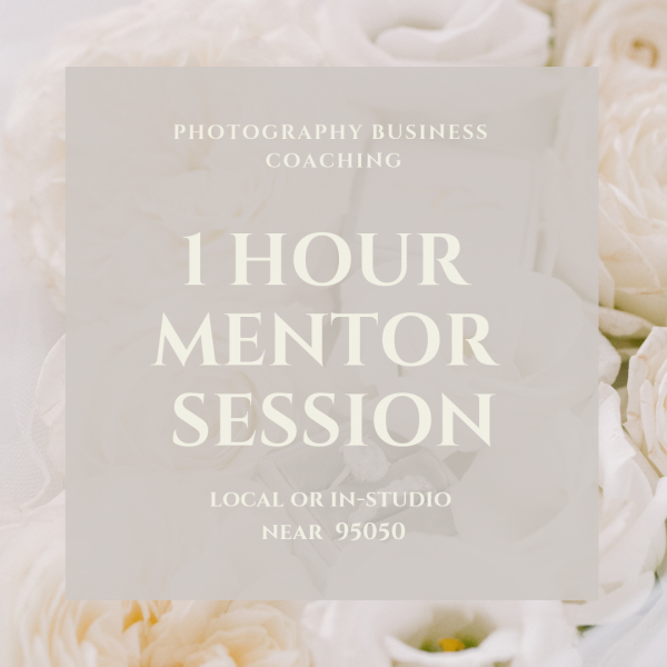 1 HOUR MENTOR SESSION (local)